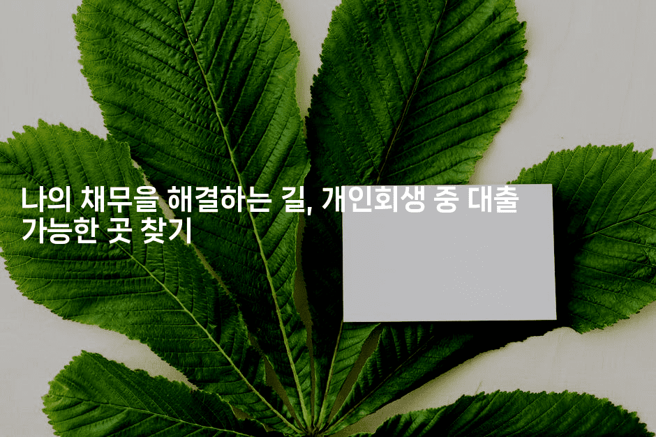 나의 채무을 해결하는 길, 개인회생 중 대출 가능한 곳 찾기-무비미