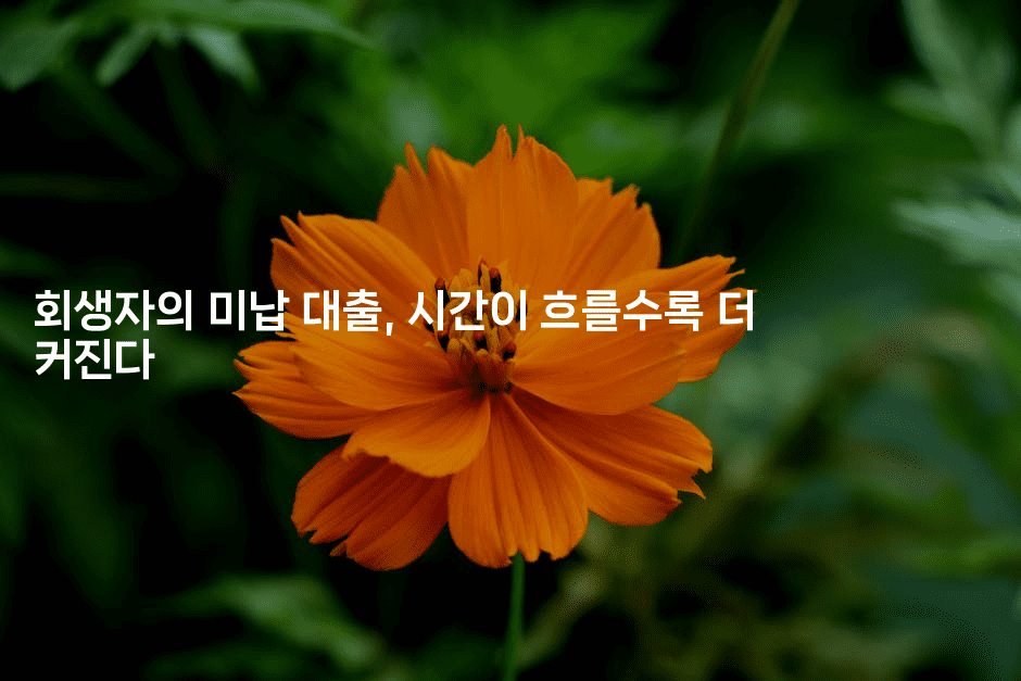 회생자의 미납 대출, 시간이 흐를수록 더 커진다