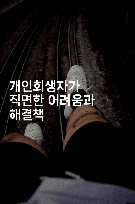 개인회생자가 직면한 어려움과 해결책-무비미