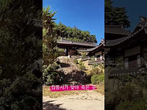 군자마을. . 영화촬영지로 유명한 얼마전 드라마 악귀에서도 배경이 된~? #shortsvideo #landscape #korea #여름 #시원