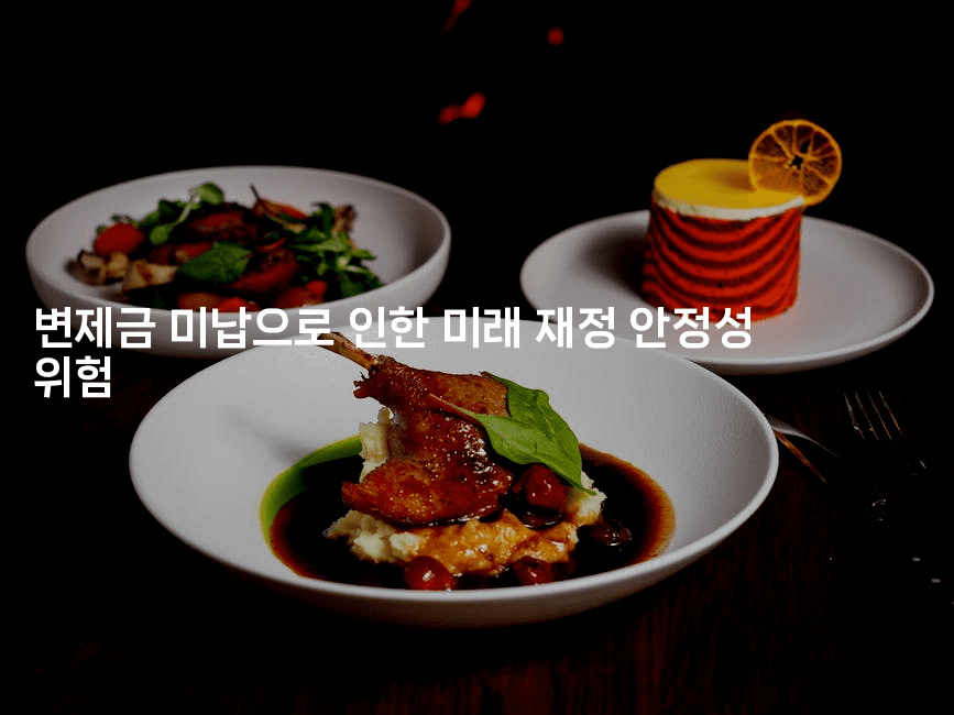 변제금 미납으로 인한 미래 재정 안정성 위험-무비미