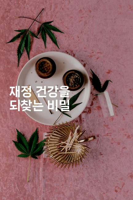 재정 건강을 되찾는 비밀-무비미